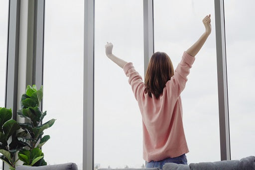 Clean Your Air, Clean Your Mind: An Essential Guide to Clean Indoor Air Quality