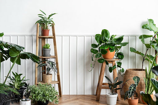 indoor planter with stand and drainage Modern Elevated Planter and Plant Stand Set main image 1